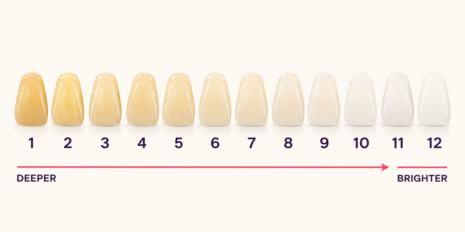 Tooth shade guide from deeper shade 1 to brightest shade 12, showing up to 10 shades of whitening